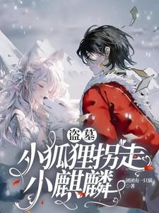 狐狸盗墓笔记解密